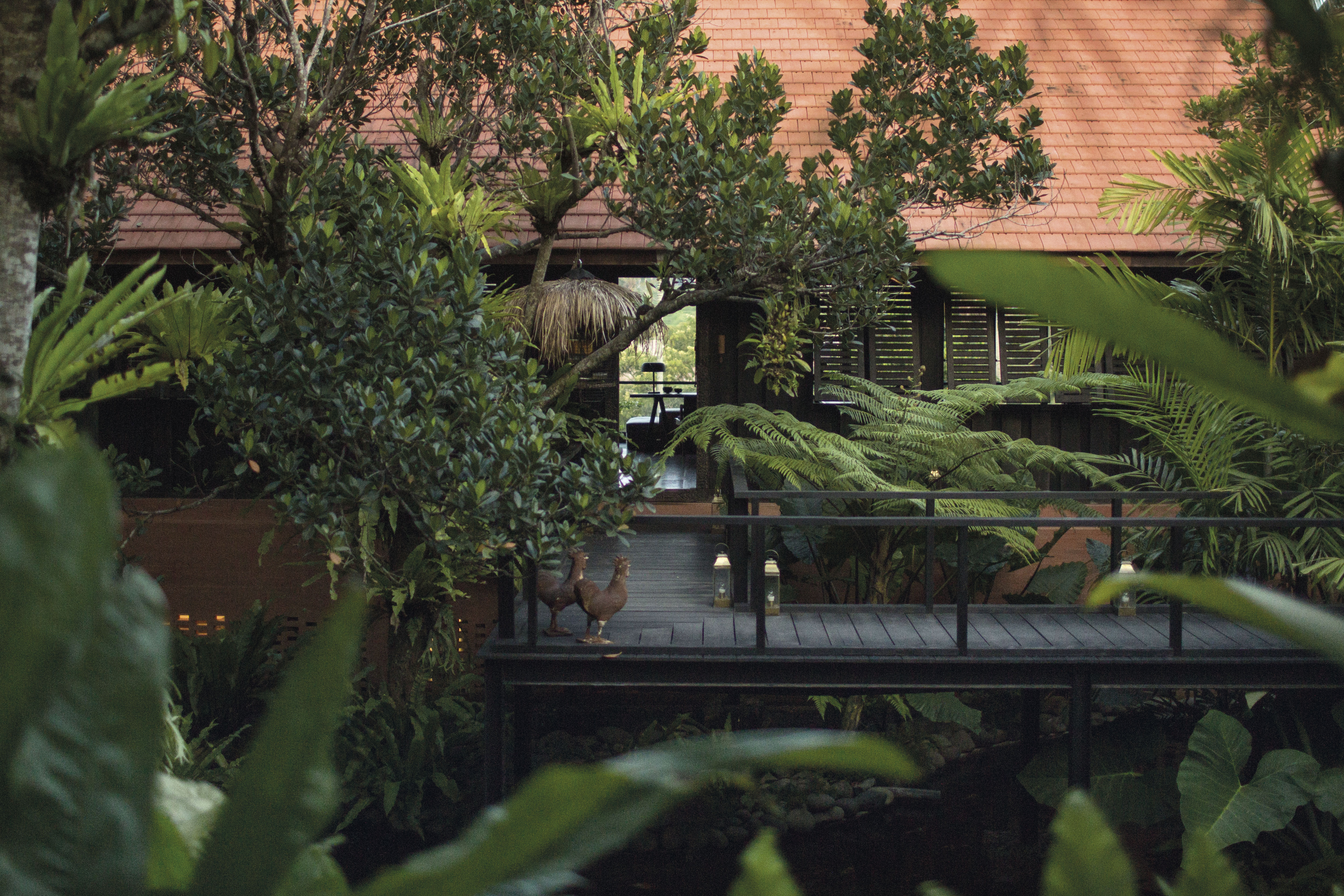 THE ESSENCE OF APPEARANCE