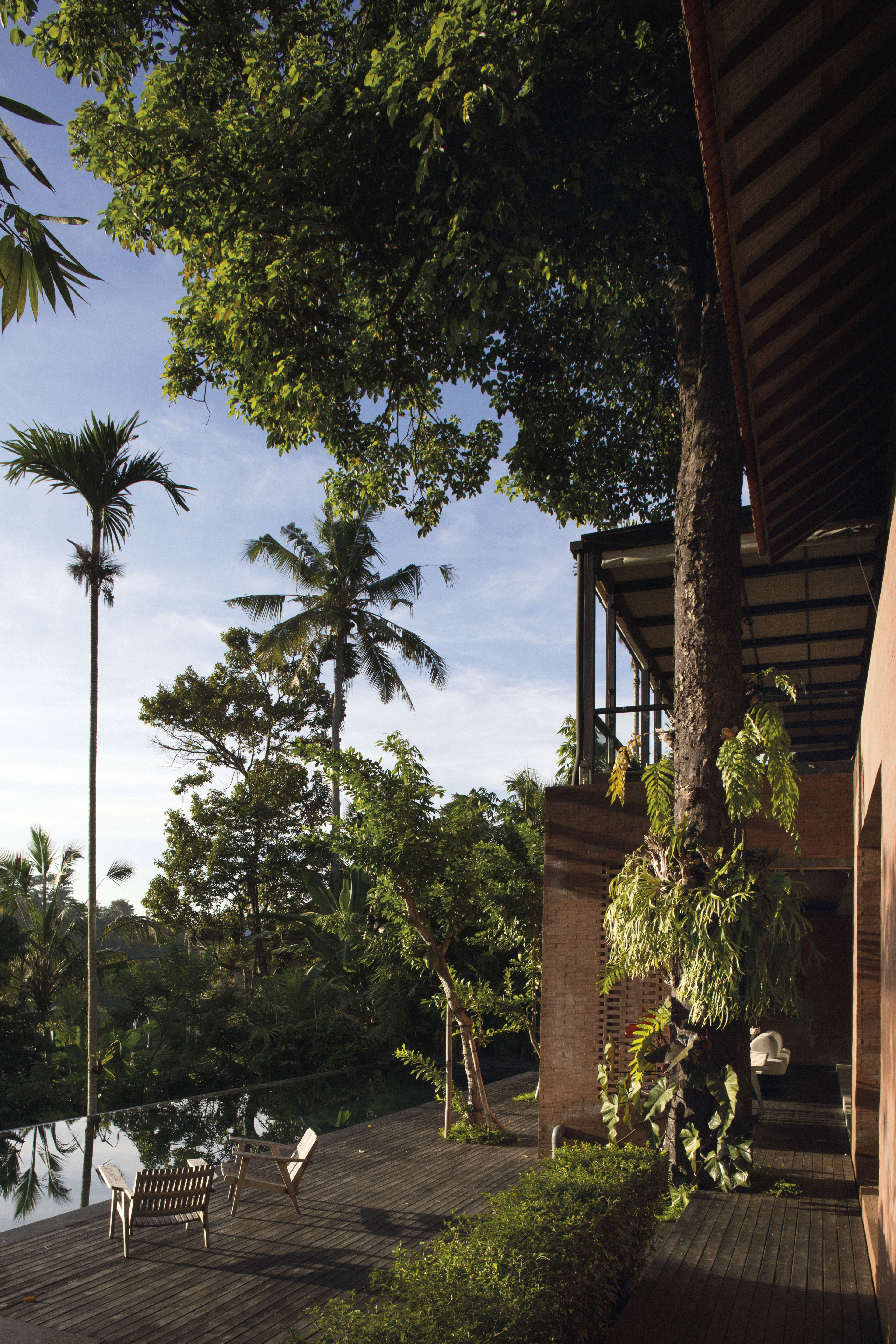 THE ESSENCE OF APPEARANCE