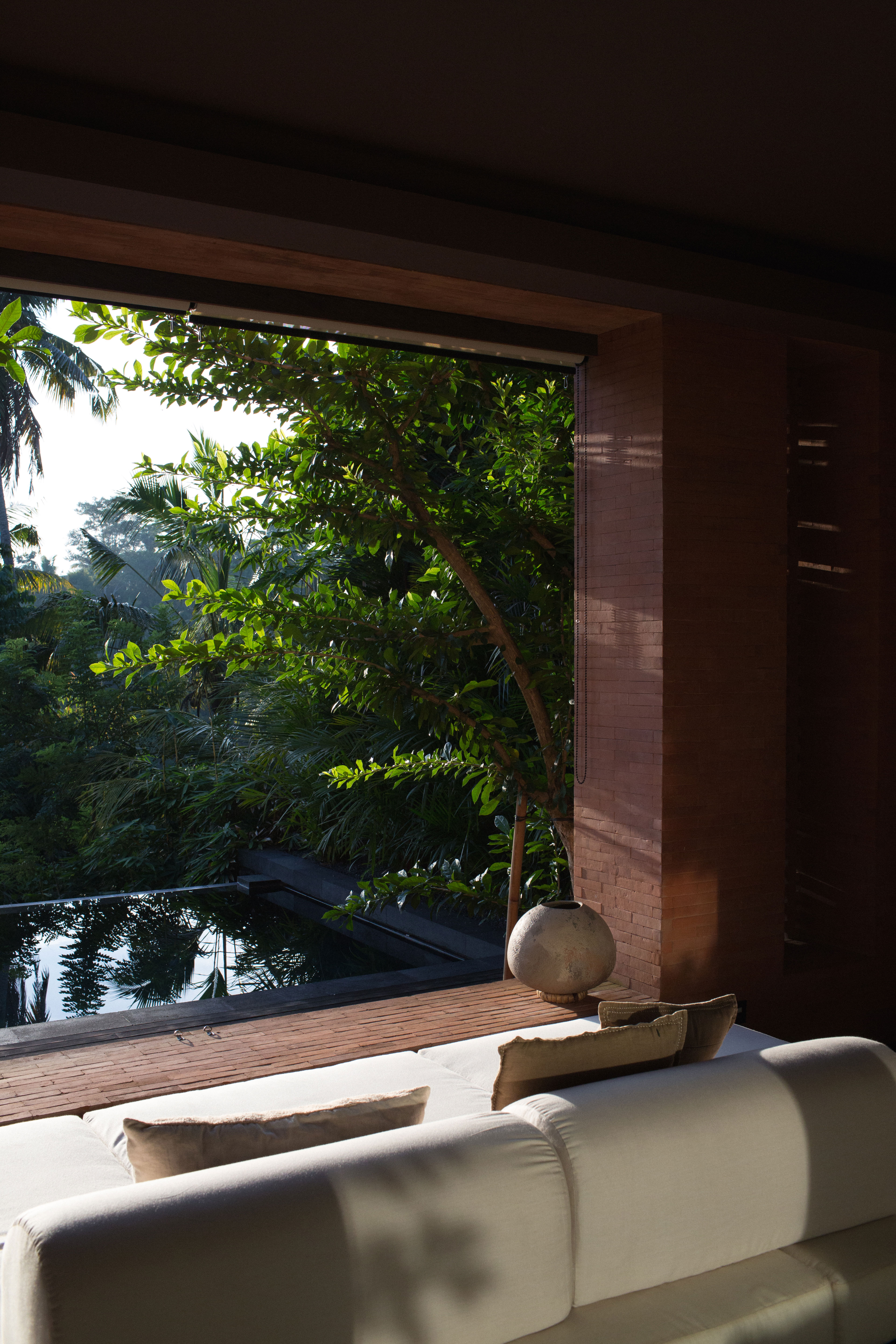 THE ESSENCE OF APPEARANCE