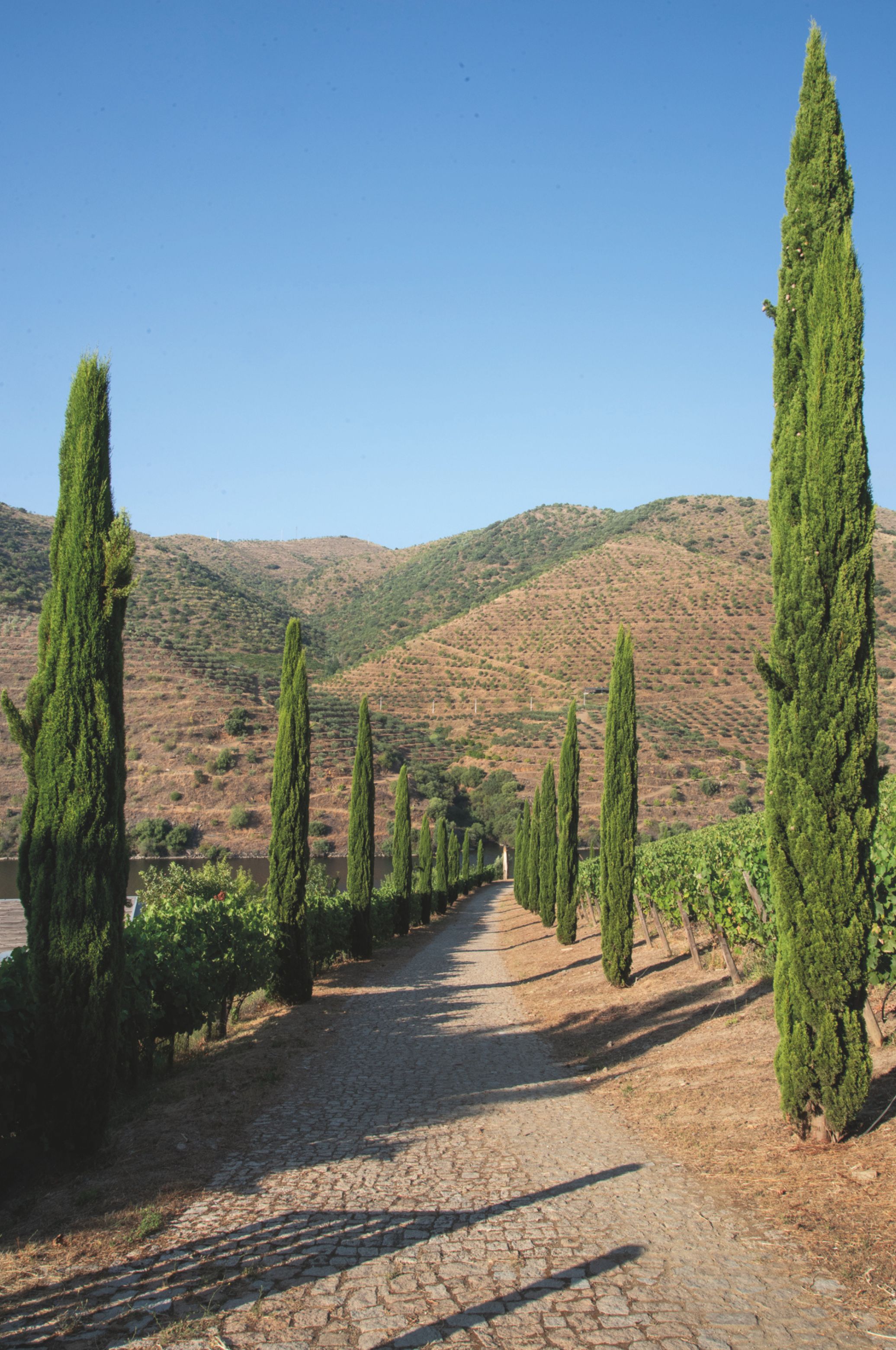 Casa do Rio, Quinta do Vallado 