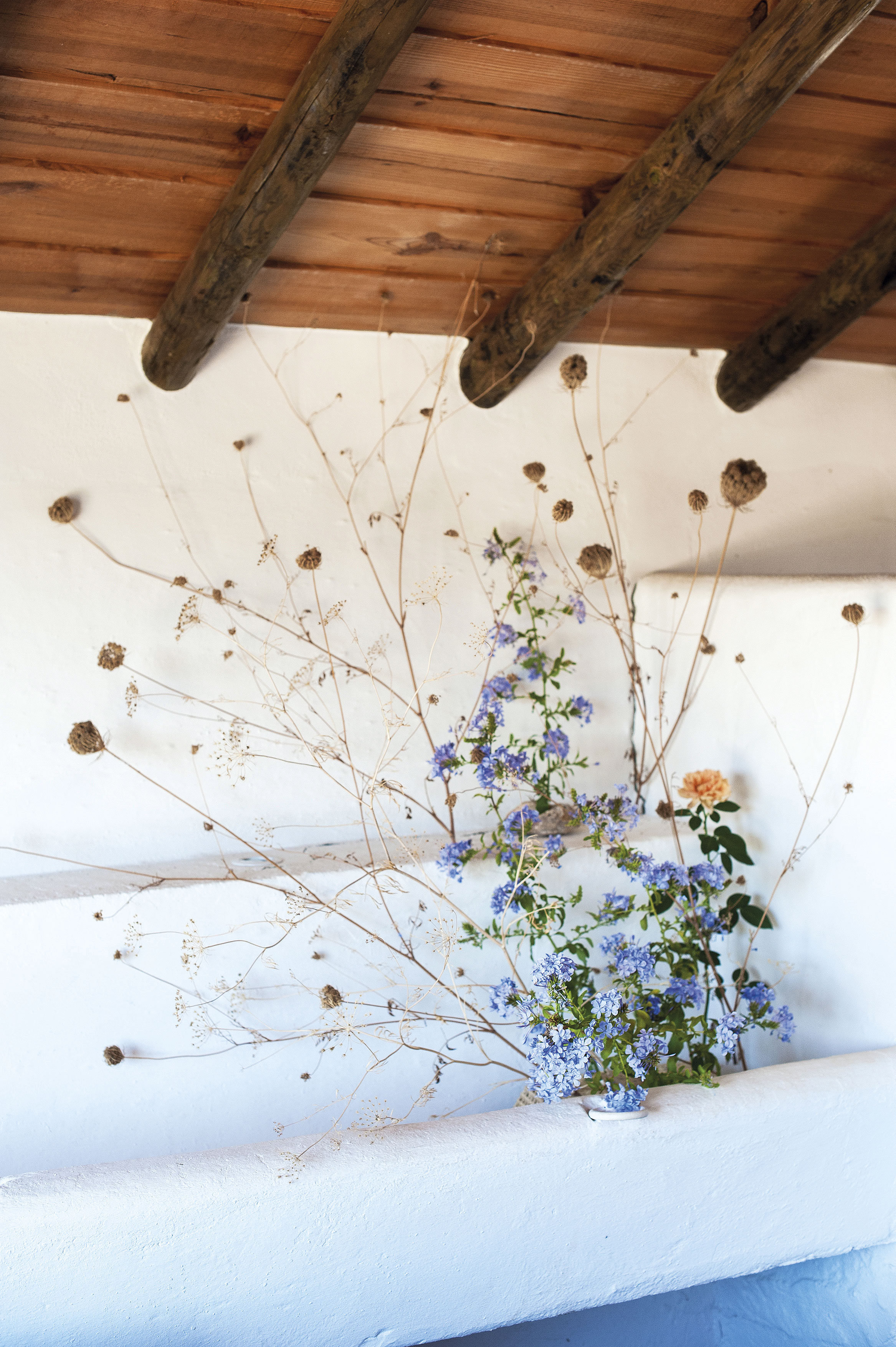 Liliana Mendes e Filipa Alves