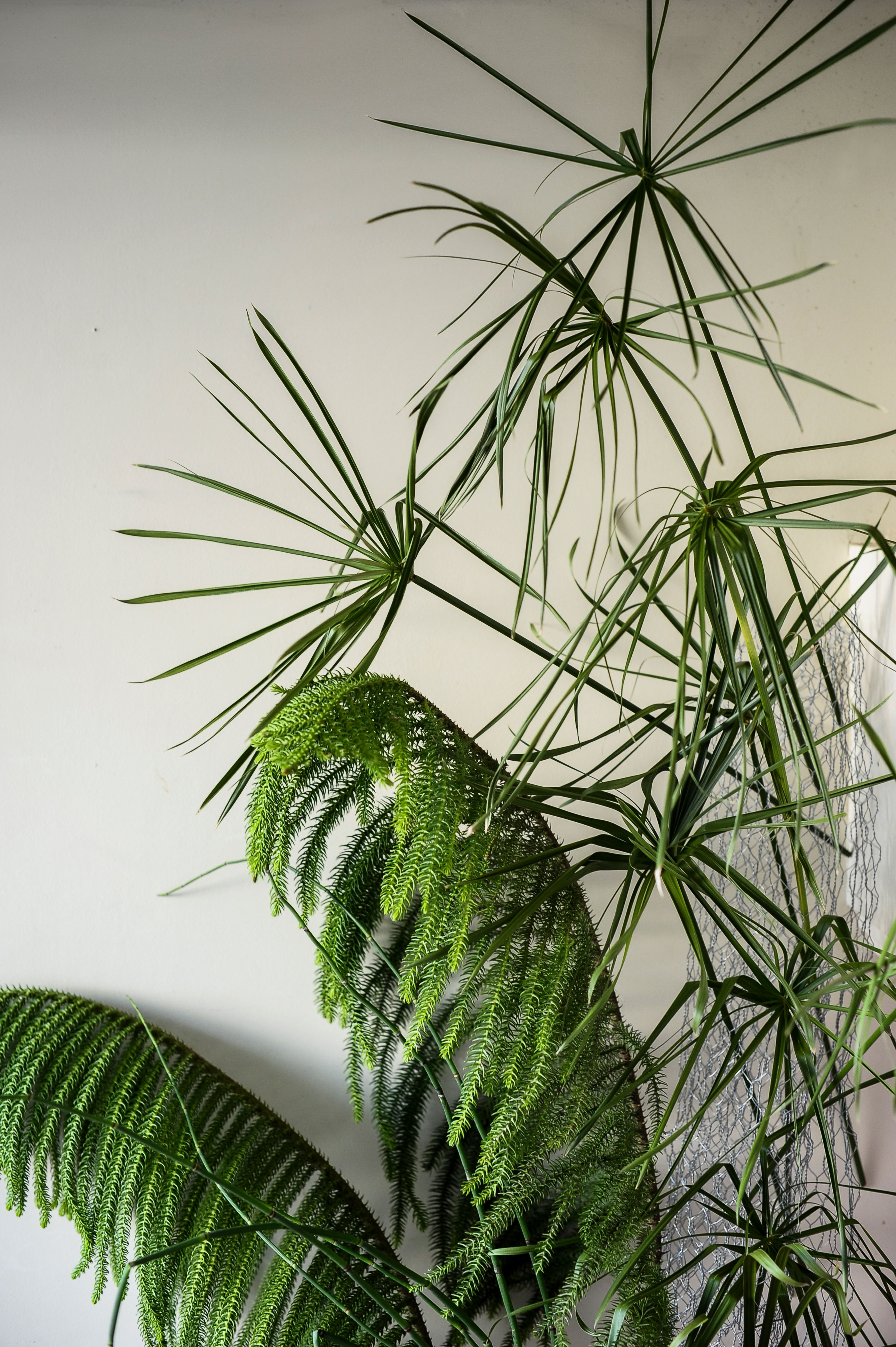 Liliana Mendes e Filipa Alves