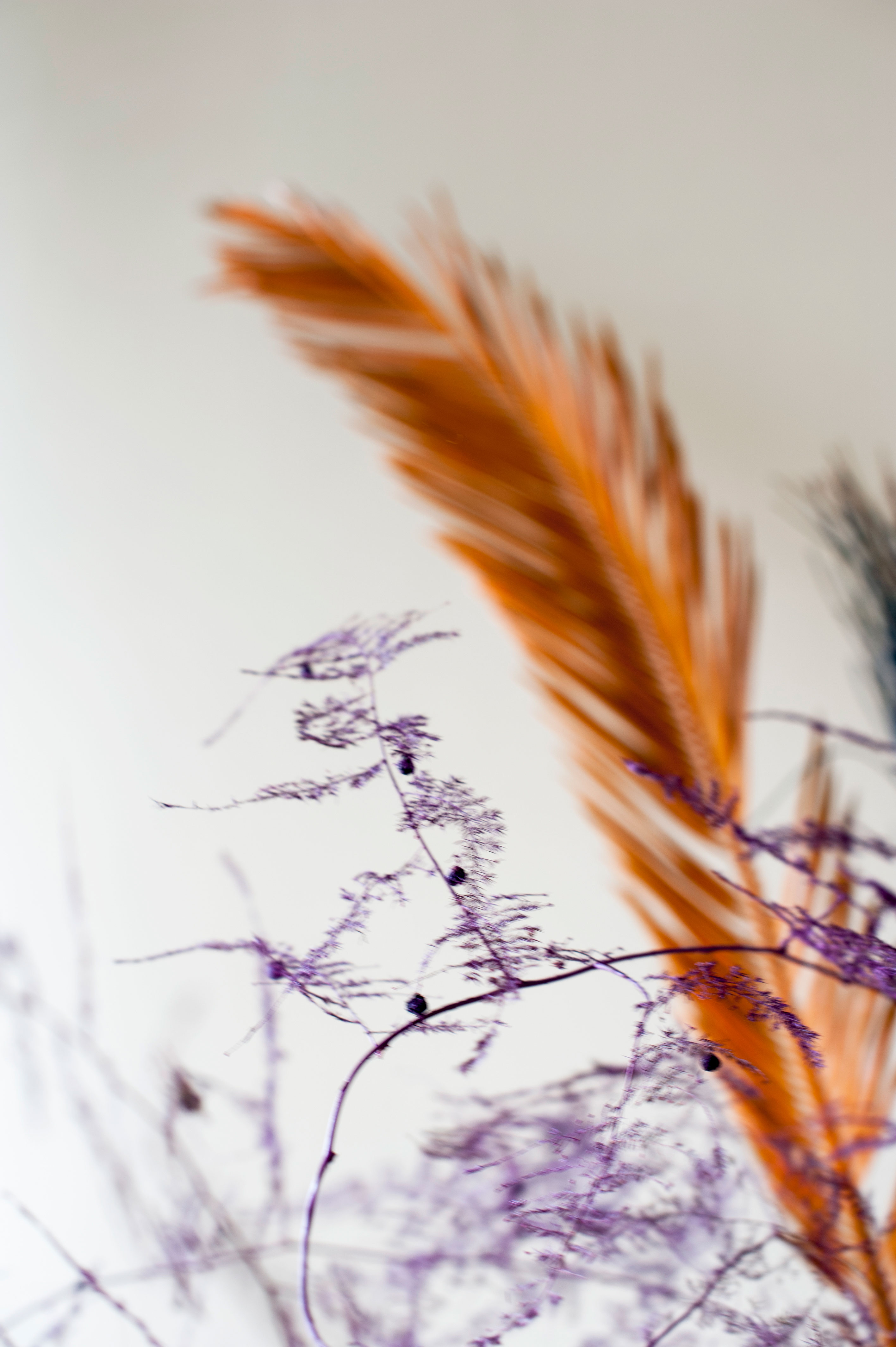 Liliana Mendes e Filipa Alves