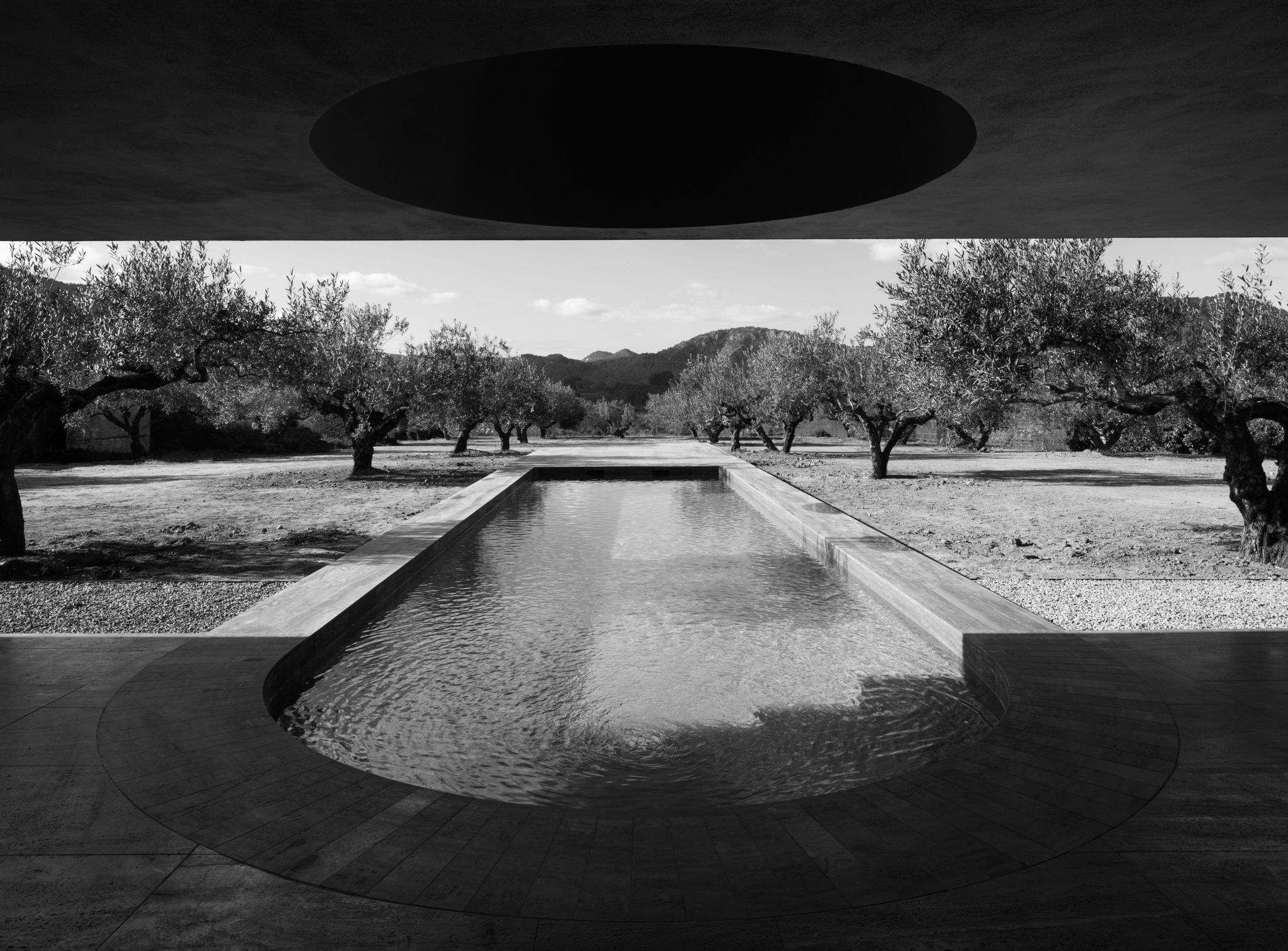 Los Olivos
