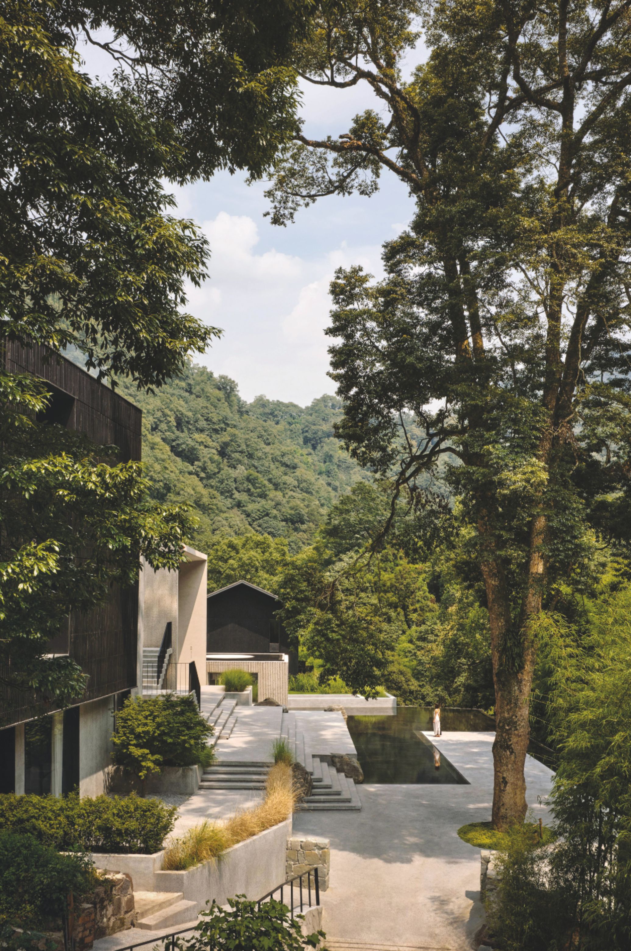 ZOLAND Emei
