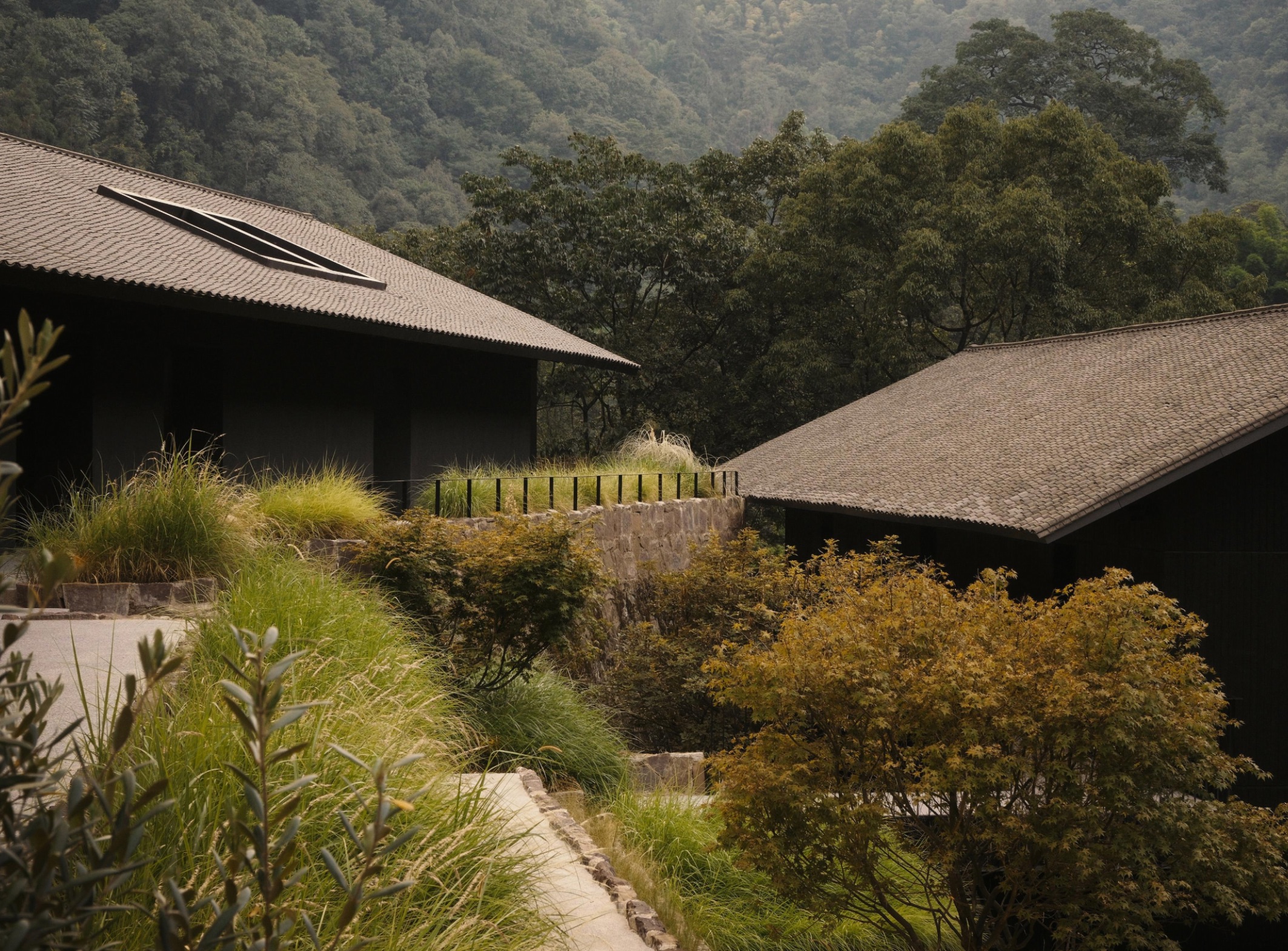 ZOLAND Emei
